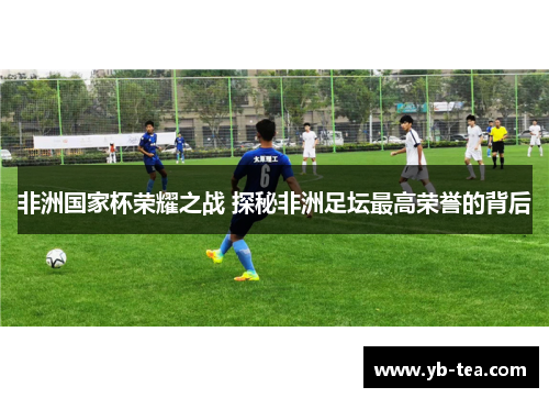 非洲国家杯荣耀之战 探秘非洲足坛最高荣誉的背后